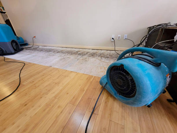 Professional Water Damage Repair technician working in Paoli, IN